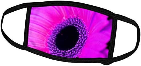 3розовый око розови гербери Маргаритки - Лицето на лигавицата (fc_36792_3)