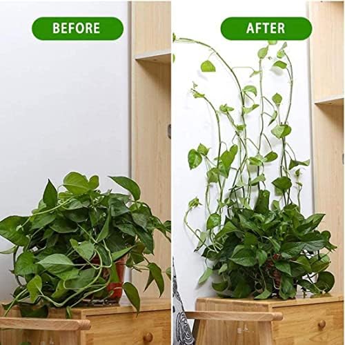 Скоби за закрепване към стената за Катерене растения Tonhpxh, (100 бр), Самозалепващи Куки за закрепване на растенията